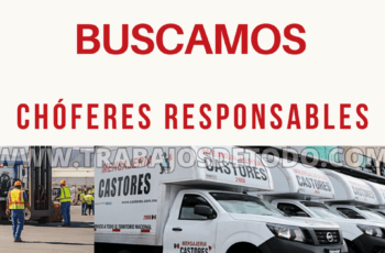 Busco chóferes responsables para Castores