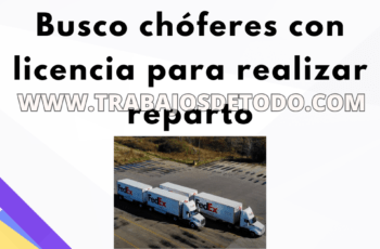 Se está buscando chóferes con disponibilidad
