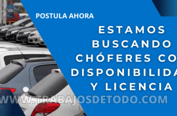 Buscamos choferes con licencia para varias unidades
