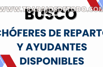 Se está buscando chóferes tipo C