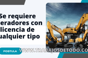 Estamos buscando operadores que tengan licencia