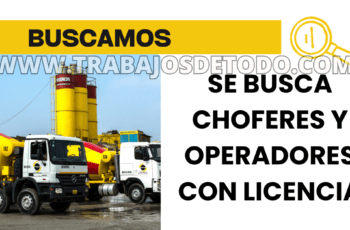 Buscamos chóferes y operadores para comenzar el lunes