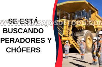 Operadores y chóferes vigentes