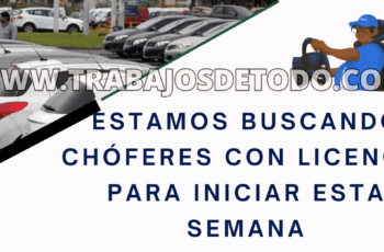 Chofer operador para iniciar la semana