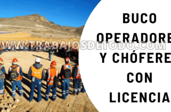 Operador chofer con licencia responsable