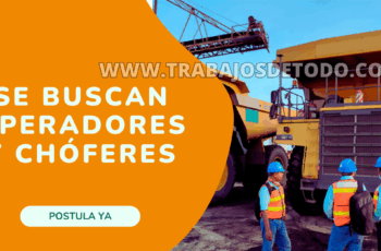 Chóferes y operadores rubro minero licencia