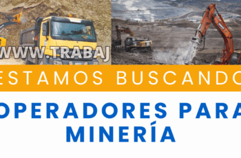 Operadores y chóferes con licencia de cualquier clase