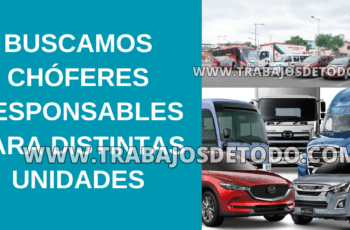 Se busca chóferes