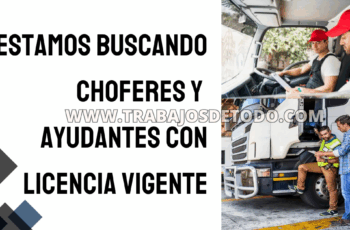 Busco chóferes y ayudantes. Puntualidad