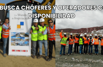 Chófer y operador con licencia actual
