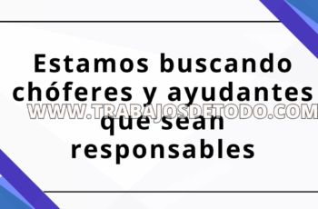 Se están buscando chóferes disponibles