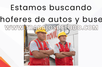 Estamos buscando choferes de buses y autos