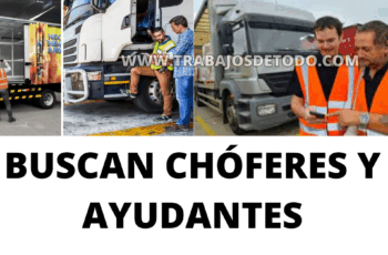 Se están buscando chóferes de todo tipo de unidades