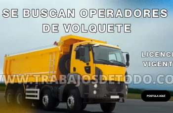 Buscamos choferes u operadores de volquete