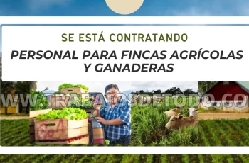 Se ofrecen múltiples vacantes para labores de ganadería y agricultura en finca