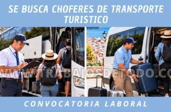 Chofer turismo: ofertas abiertas para manejar van, minibús y bus