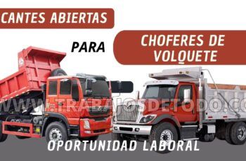 Se necesita chofer de volquete: Estos son los requisitos